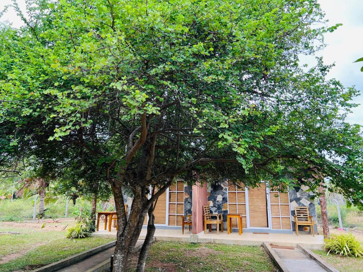 Coco Village Hotel Chilaw Exterior photo